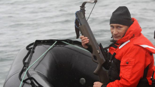Illustration for article titled On Putin, Crimea, and Hypermasculinity